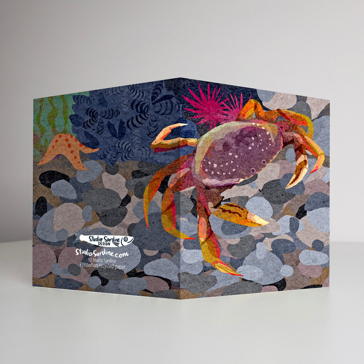 Dungeness Crab A2 size (5.5" x 4.25") notecards