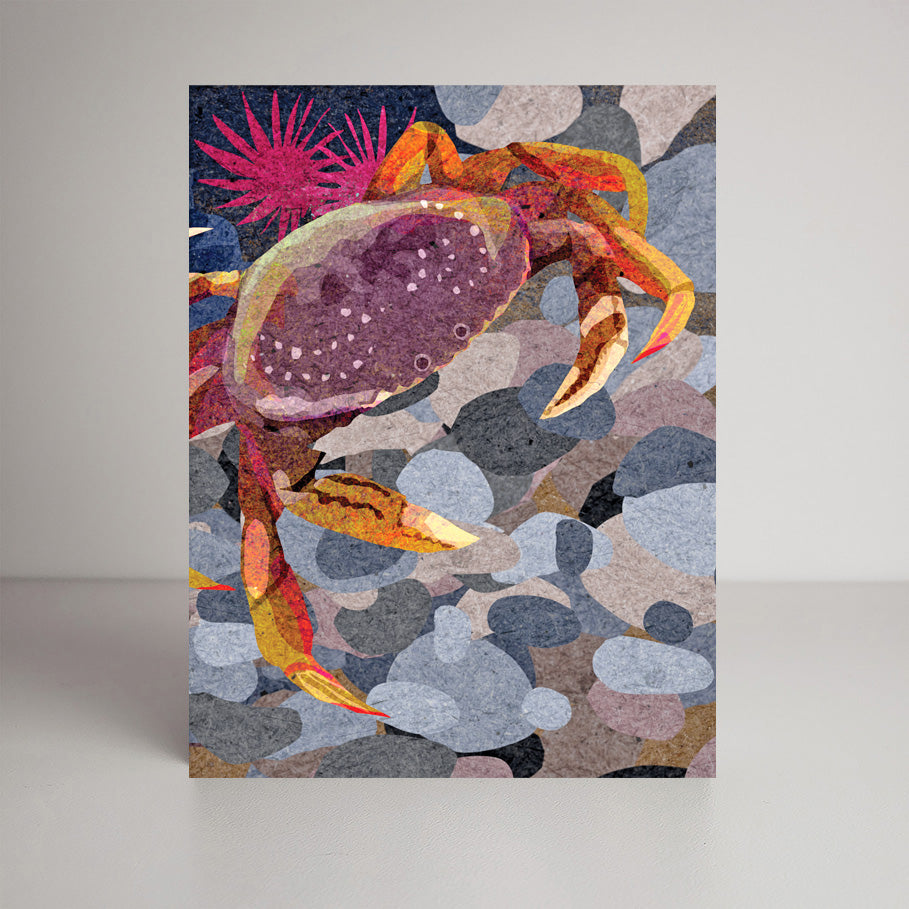 Dungeness Crab A2 size (5.5" x 4.25") notecards