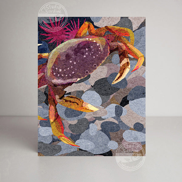 Dungeness Crab blank notecard, card for beachcombers