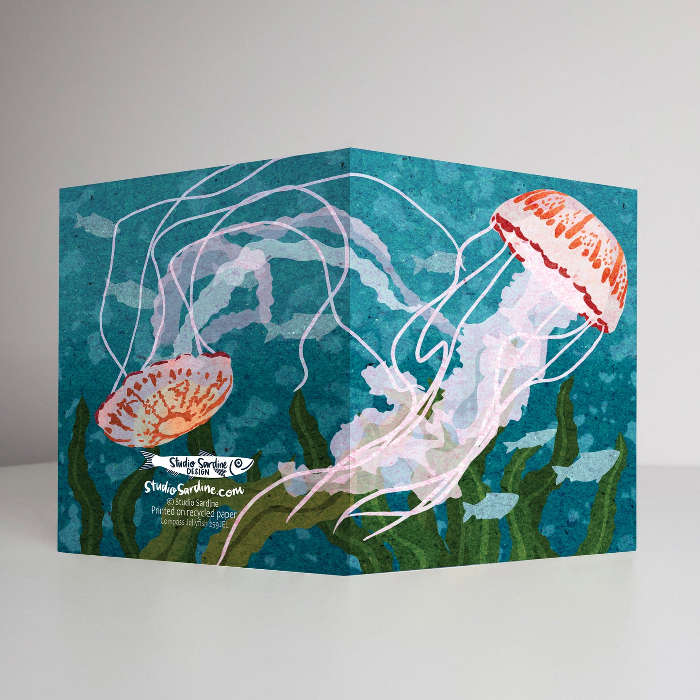 Compass Jellyfish A2 size (5.5" x 4.25") notecards