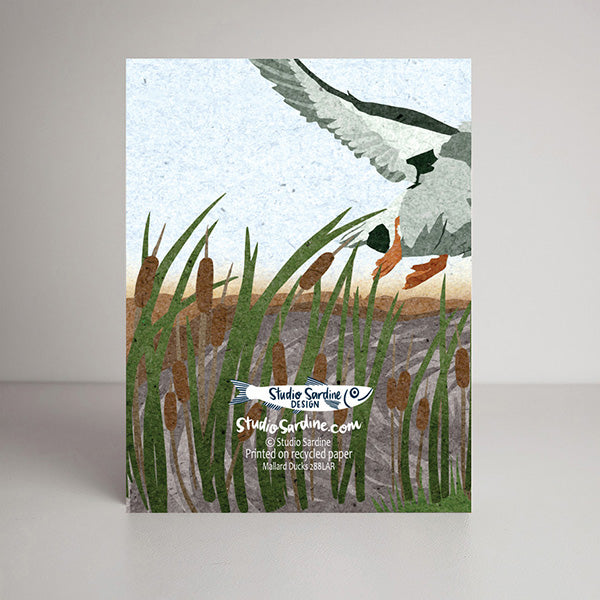 Mallard Ducks blank notecard, card for nature lovers