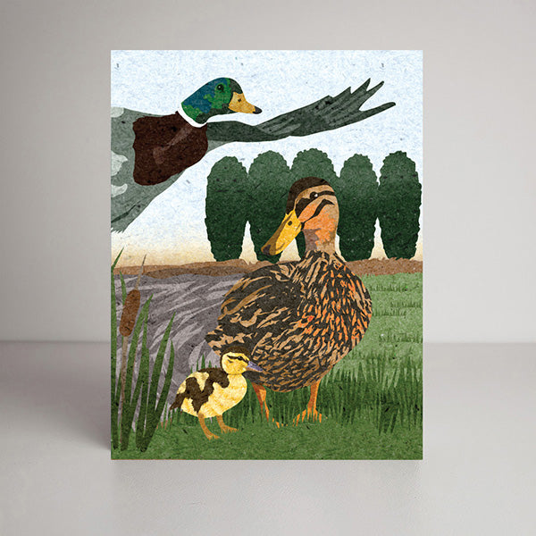 Mallard Ducks blank notecard, card for nature lovers