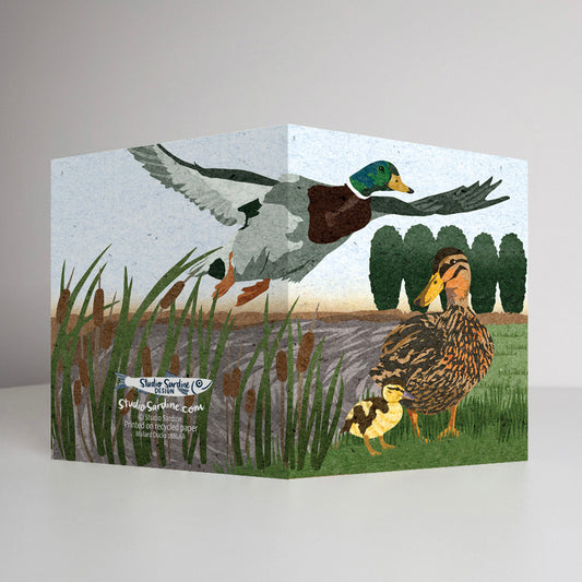 Mallard Ducks A2 size (5.5" x 4.25") notecards