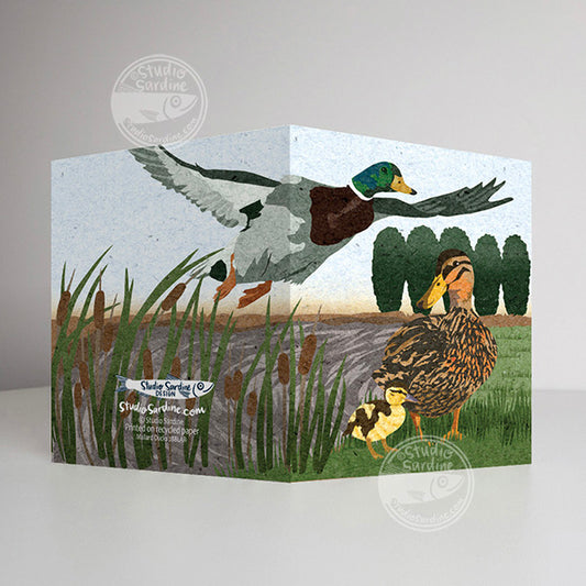 Mallard Ducks A2 size (5.5" x 4.25") notecards