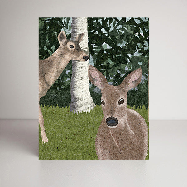 Mule Deer blank notecards, cards for nature lovers