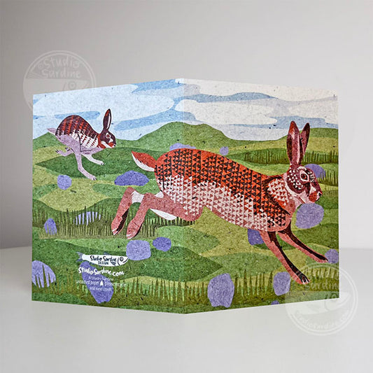 Wild Hares blank notecard, card for nature lovers
