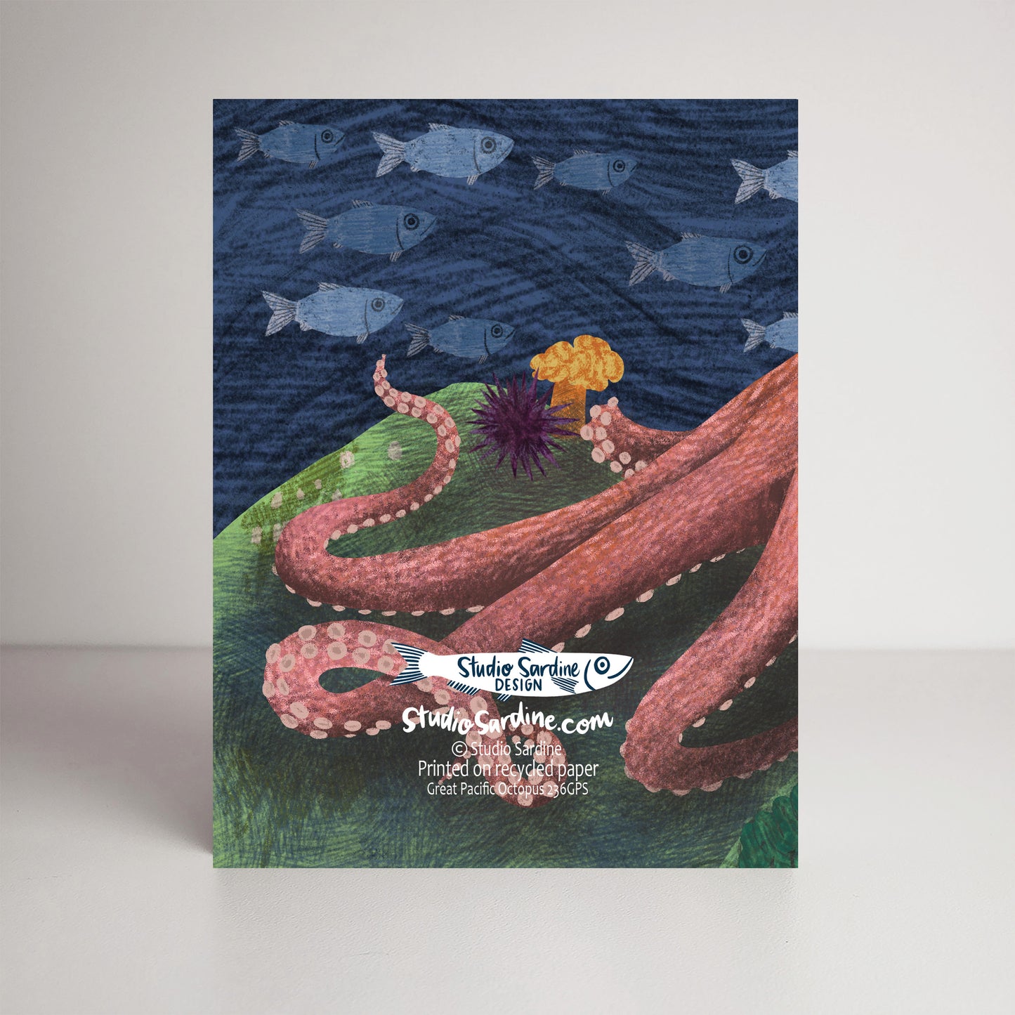 Great Pacific Octopus A2 size (5.5" x 4.25") notecards