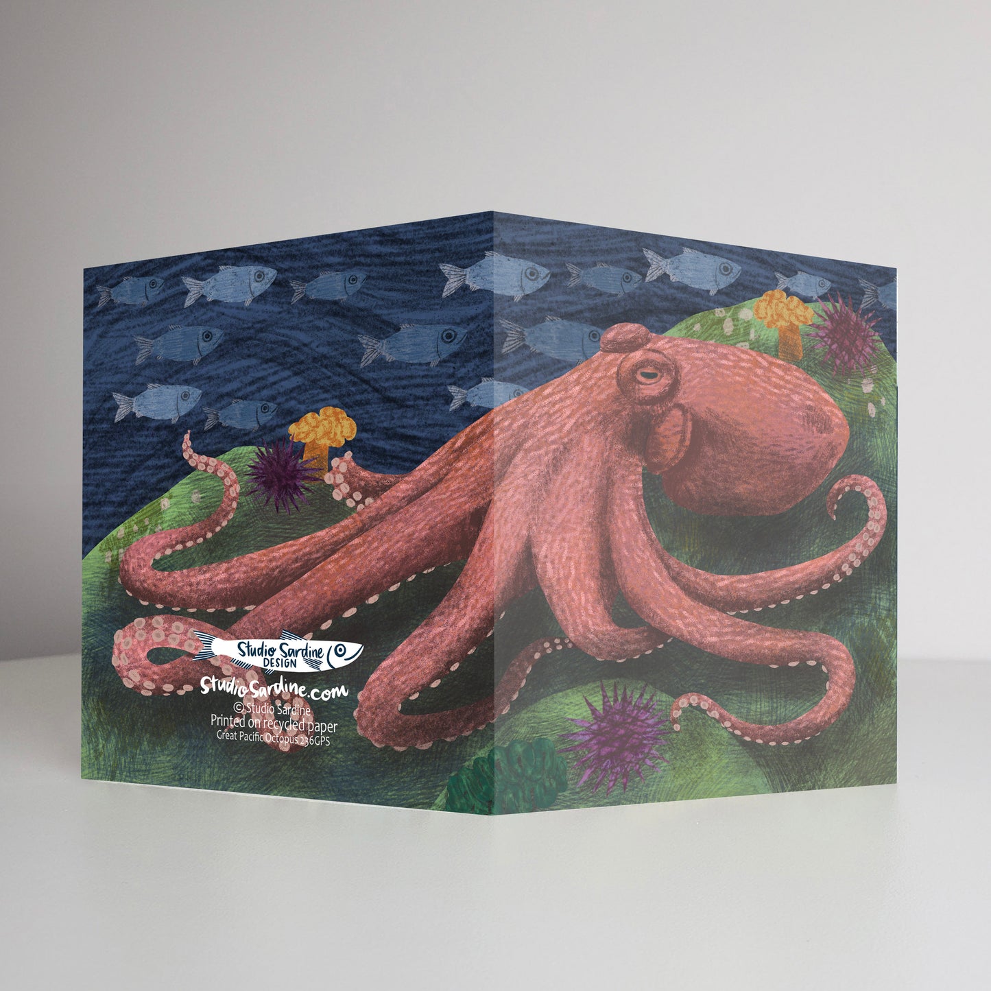 Great Pacific Octopus A2 size (5.5" x 4.25") notecards