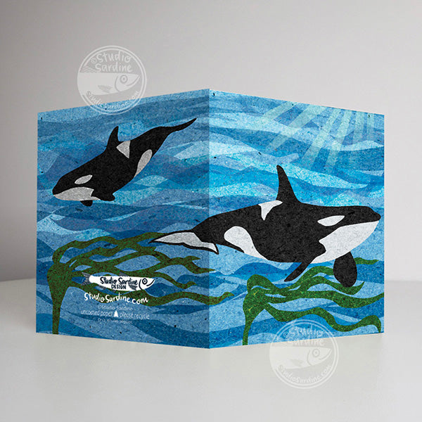 Orcas A2 size (5.5" x 4.25") notecards