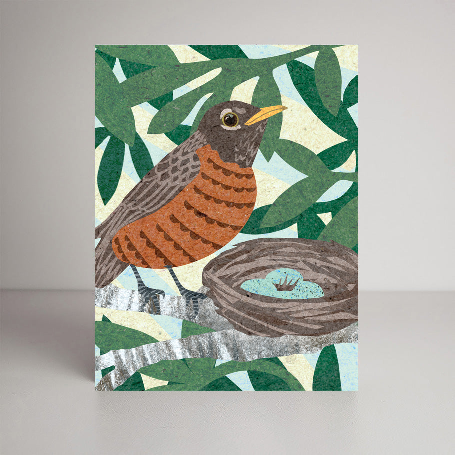 American Robin A2 size (5.5" x 4.25") notecards