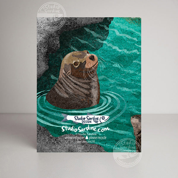 Sea Lions blank notecard, card for lovers of the sea