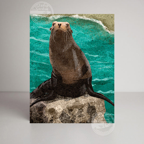 Sea Lions blank notecard, card for lovers of the sea