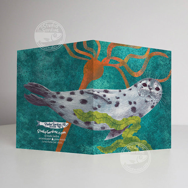 Curious Seal A2 size (5.5" x 4.25") notecards