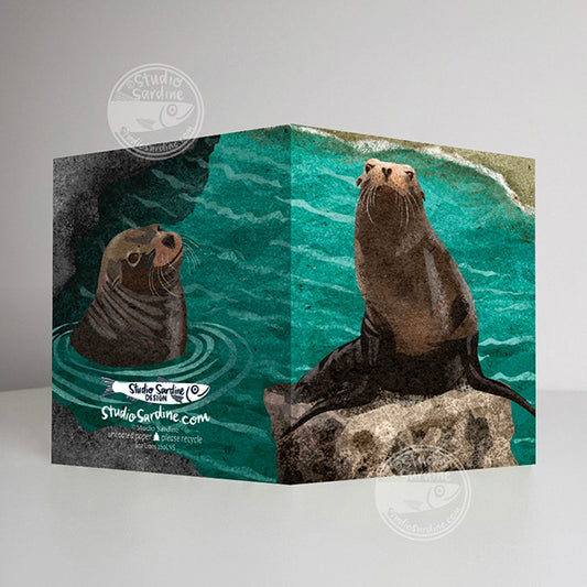 Sea Lions A2 size (5.5" x 4.25") notecards