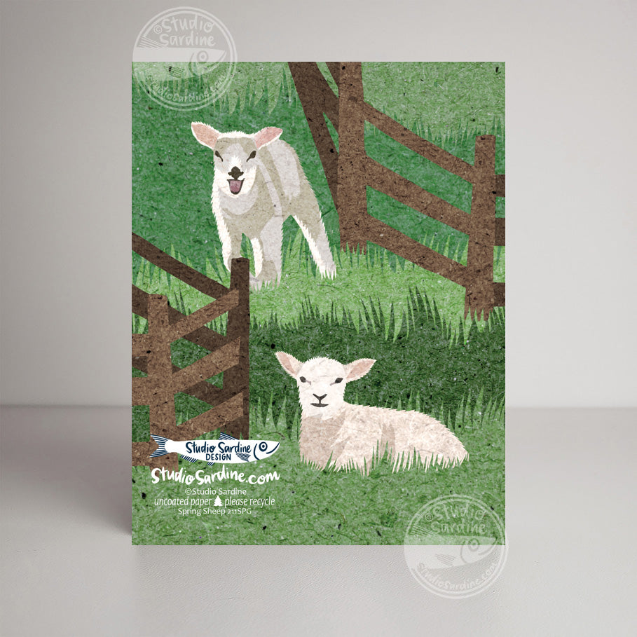 Spring Sheep A2 size (5.5" x 4.25") notecards