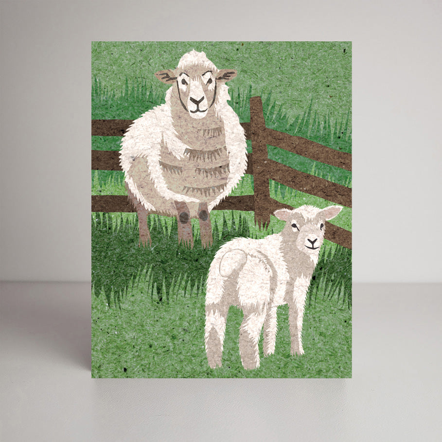 Spring Sheep A2 size (5.5" x 4.25") notecards