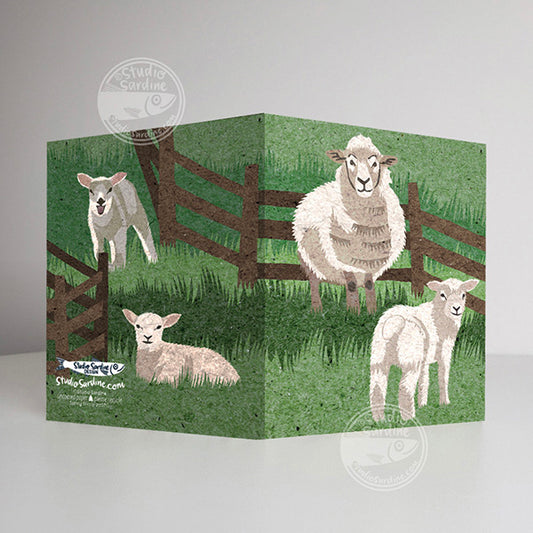 Spring Sheep A2 size (5.5" x 4.25") notecards