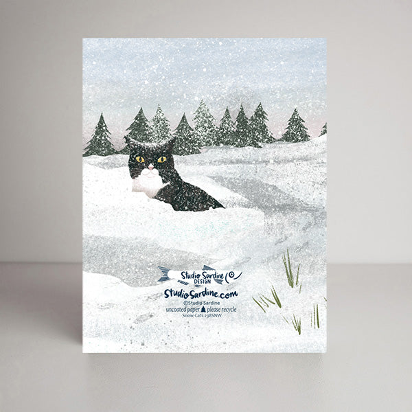 Snow Cats blank notecards, cards for cat lovers