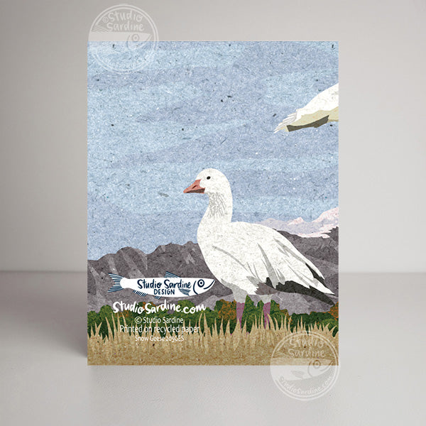 Snow Geese blank notecard, card for bird enthusiasts