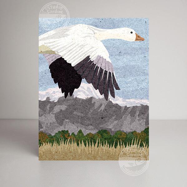 Snow Geese blank notecard, card for bird enthusiasts