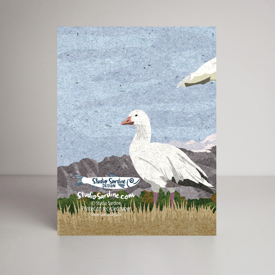 Snow Geese A2 size (5.5" x 4.25") notecards