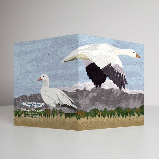 Snow Geese A2 size (5.5" x 4.25") notecards