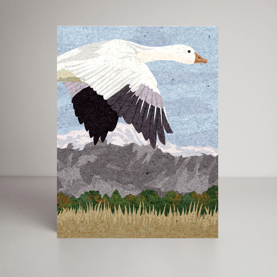 Snow Geese A2 size (5.5" x 4.25") notecards