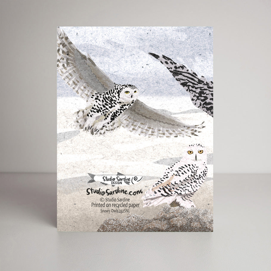 Snowy Owls A2 size (5.5" x 4.25") notecards, holiday card