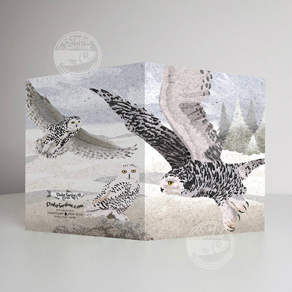 Snowy Owls A2 size (5.5" x 4.25") notecards, holiday card