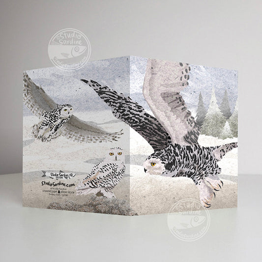 Snowy Owls A2 size (5.5" x 4.25") notecards, holiday card