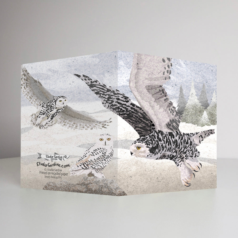 Snowy Owls A2 size (5.5" x 4.25") notecards, holiday card