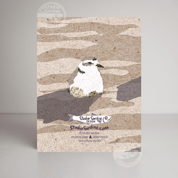 Snowy Plover blank notecard, card for beachcombers