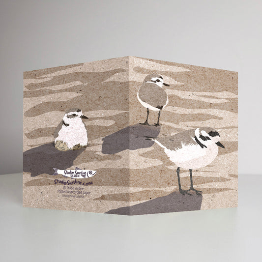 Snowy Plover A2 size (5.5" x 4.25") notecards