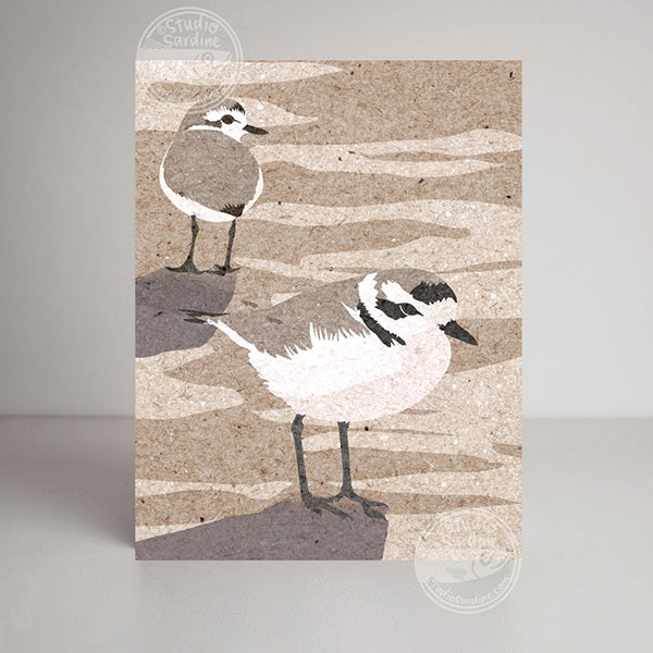 Snowy Plover blank notecard, card for beachcombers