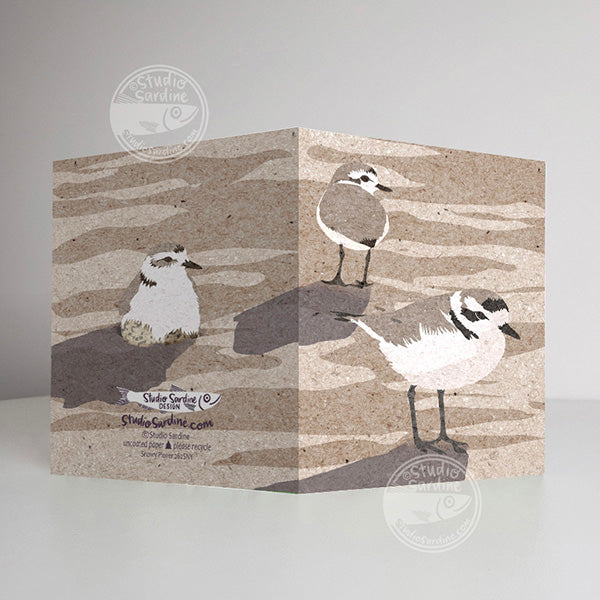 Snowy Plover A2 size (5.5" x 4.25") notecards