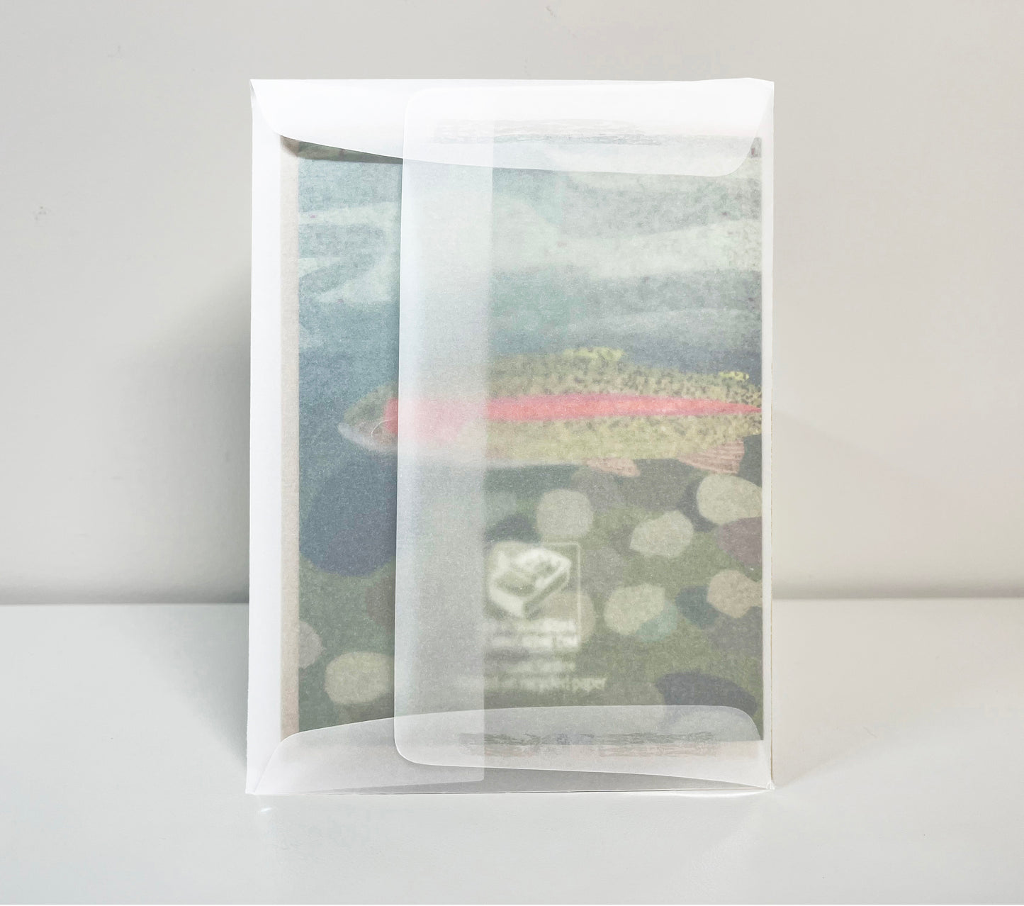 Each Card In A Translucent Vellum Protective Envelope Upgrade Wholesale