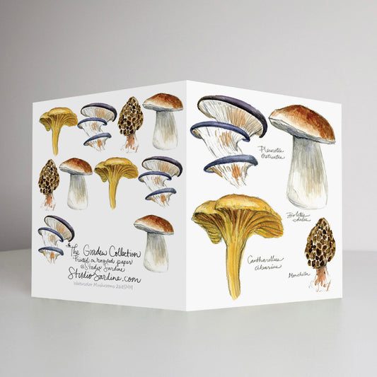 Watercolor Mushrooms A2 size (5.5" x 4.25") notecards