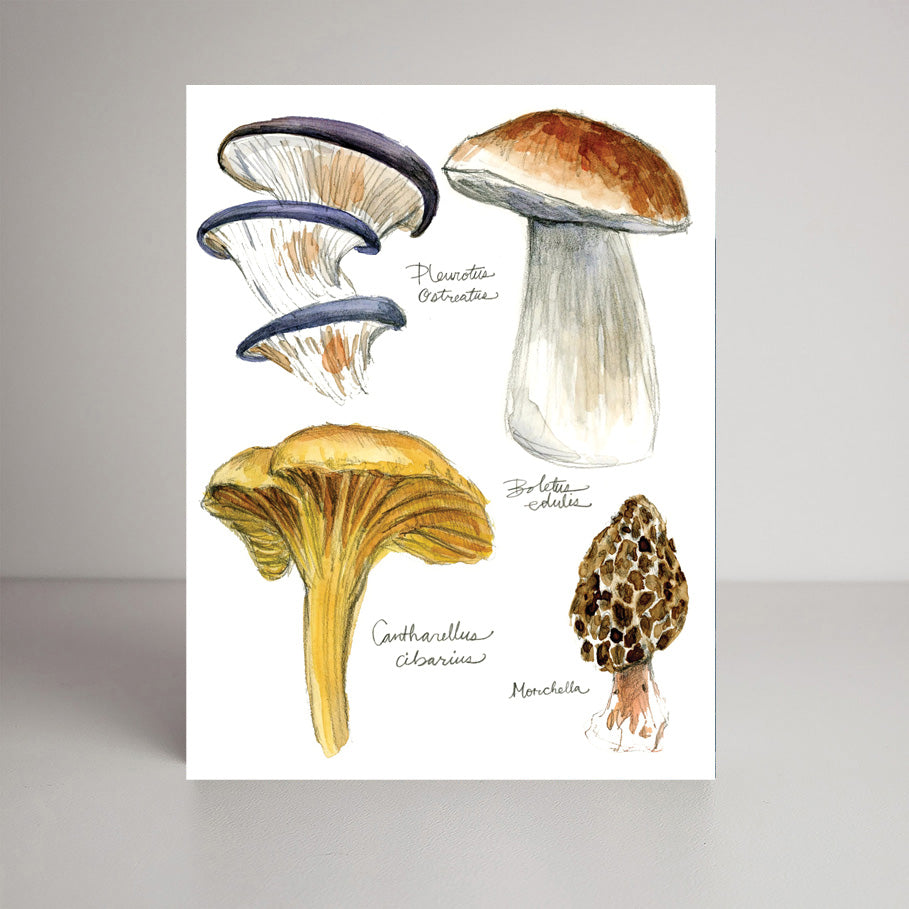 Watercolor Mushrooms A2 size (5.5" x 4.25") notecards