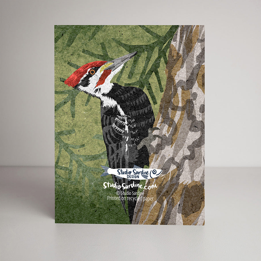 Pileated Woodpecker A2 size (5.5" x 4.25") notecards