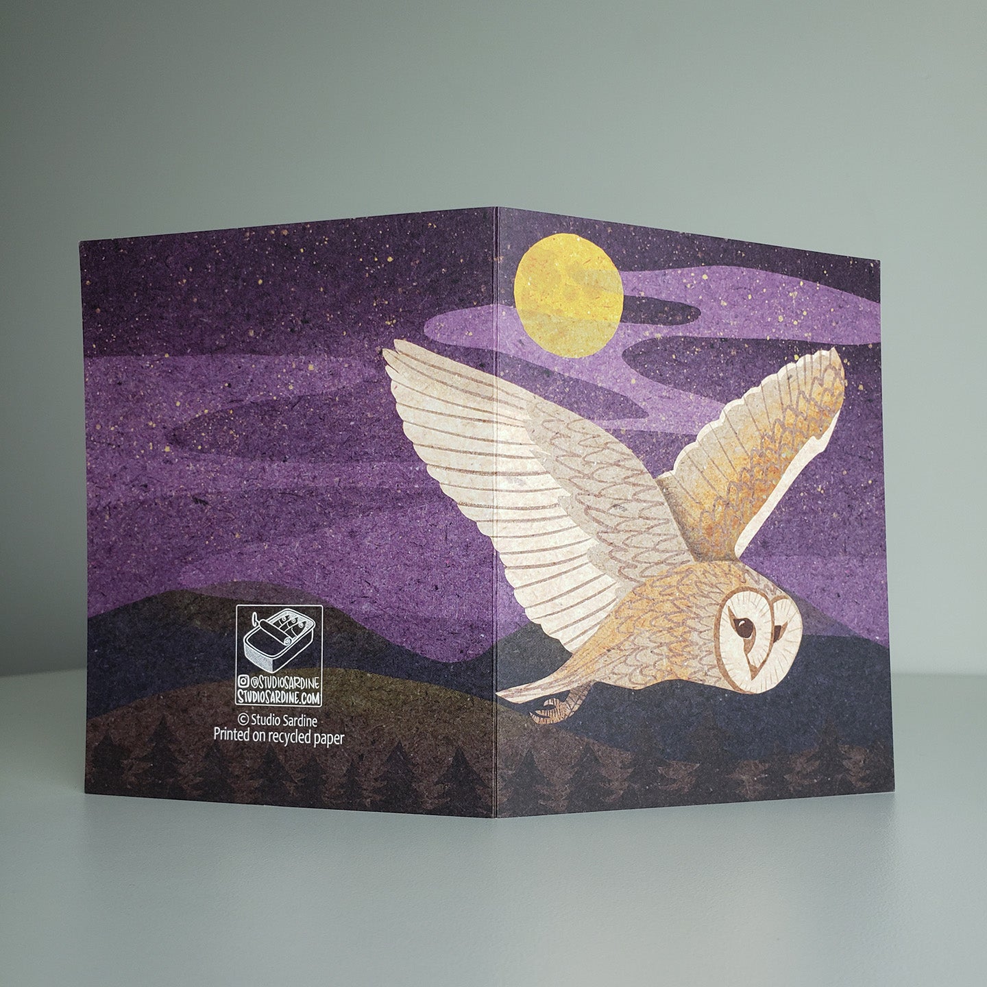 Barn Owl A2 size (5.5" x 4.25") notecards