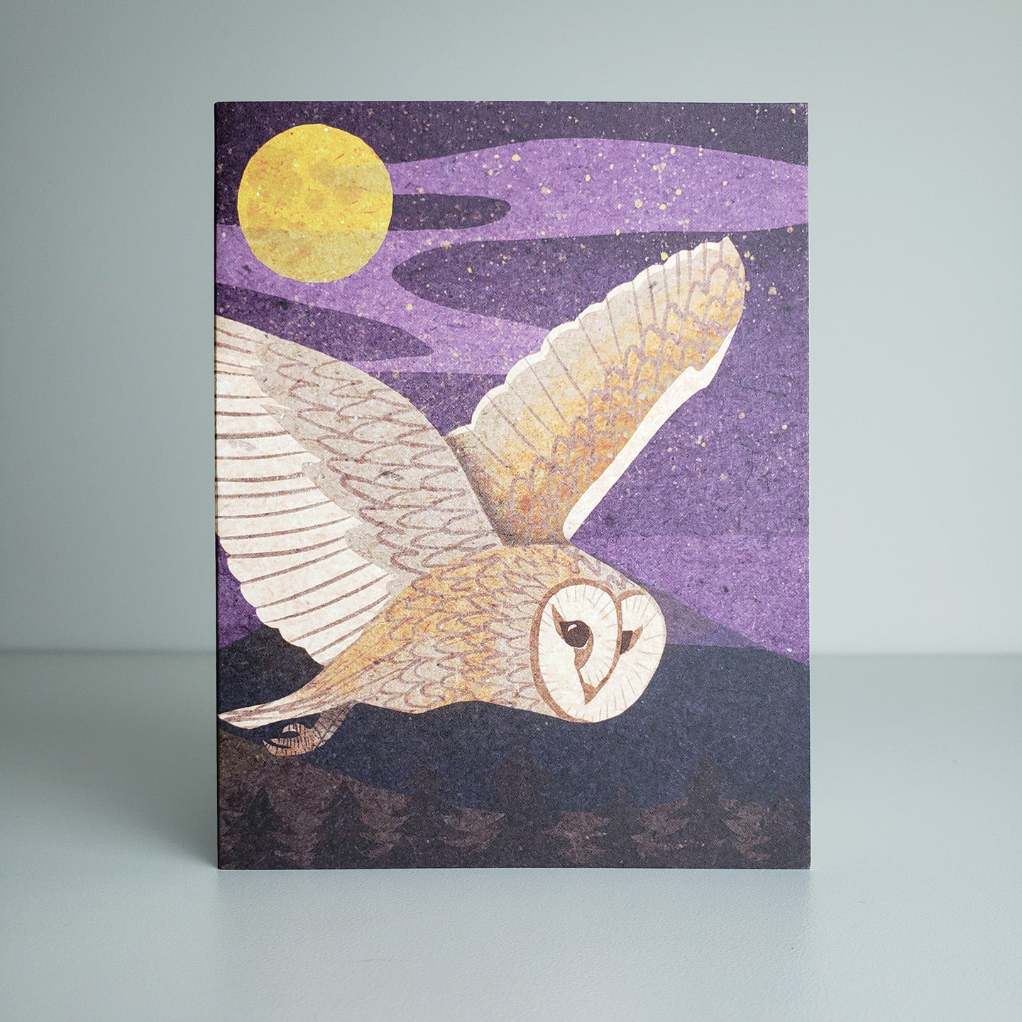 Barn Owl A2 size (5.5" x 4.25") notecards